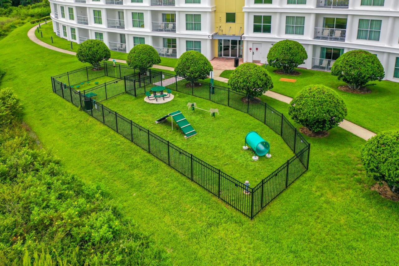 Pet Friendly In Orlando Area Near Disney Celebration Ngoại thất bức ảnh