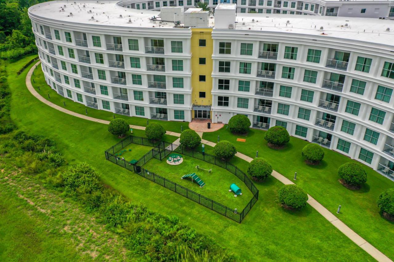 Pet Friendly In Orlando Area Near Disney Celebration Ngoại thất bức ảnh